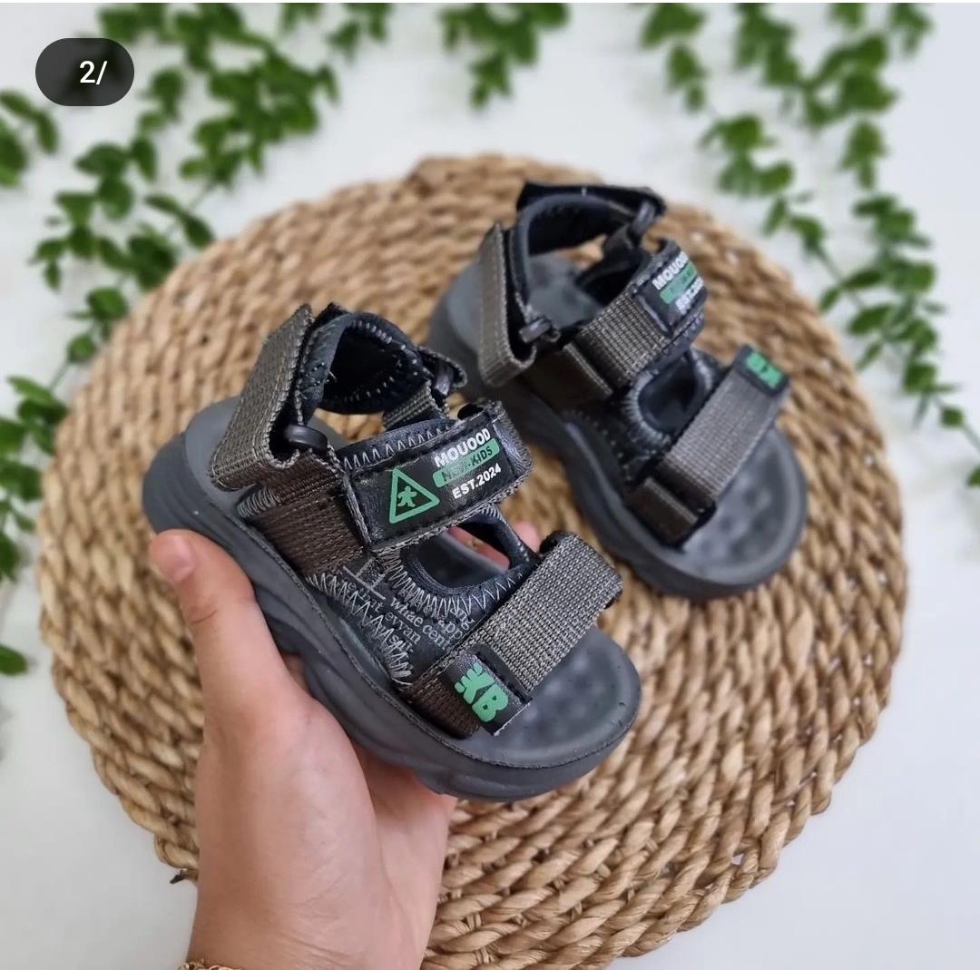 سگگ دار22-31
