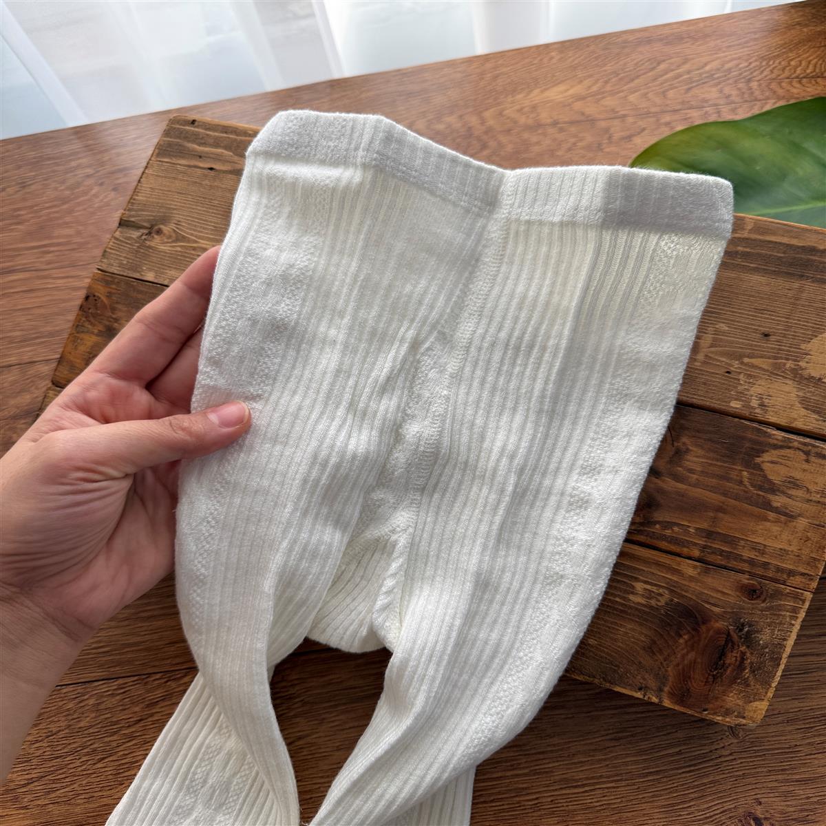  پاپیون منگوله ای