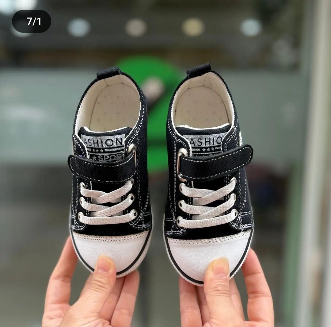 ALSTAR23-31