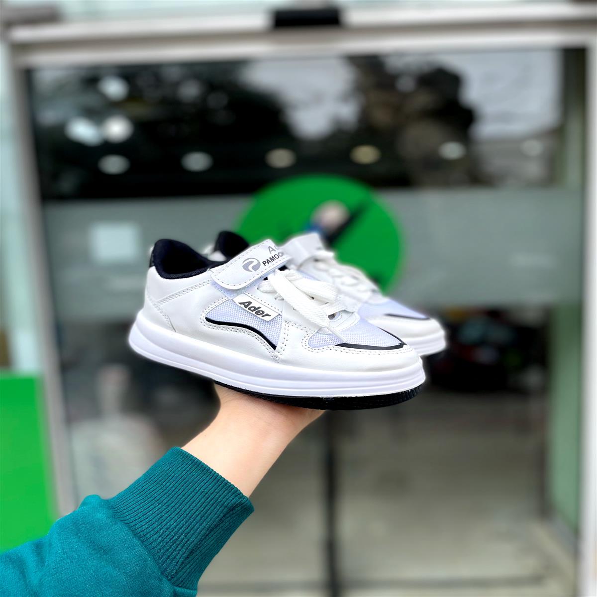 PAMOK31-35
