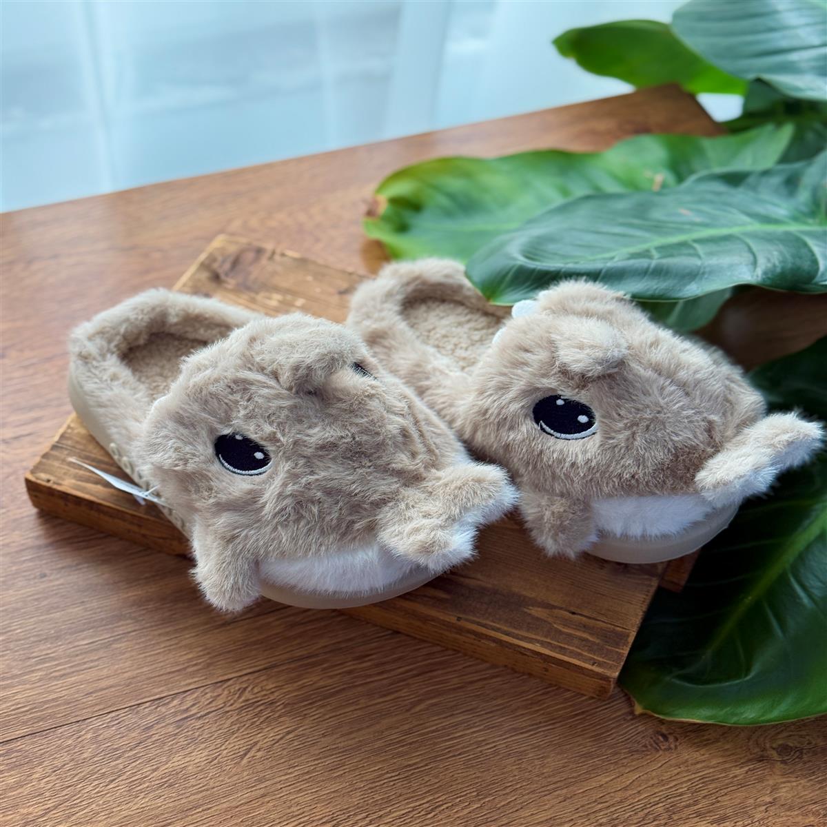 اسلیپر نهنگ